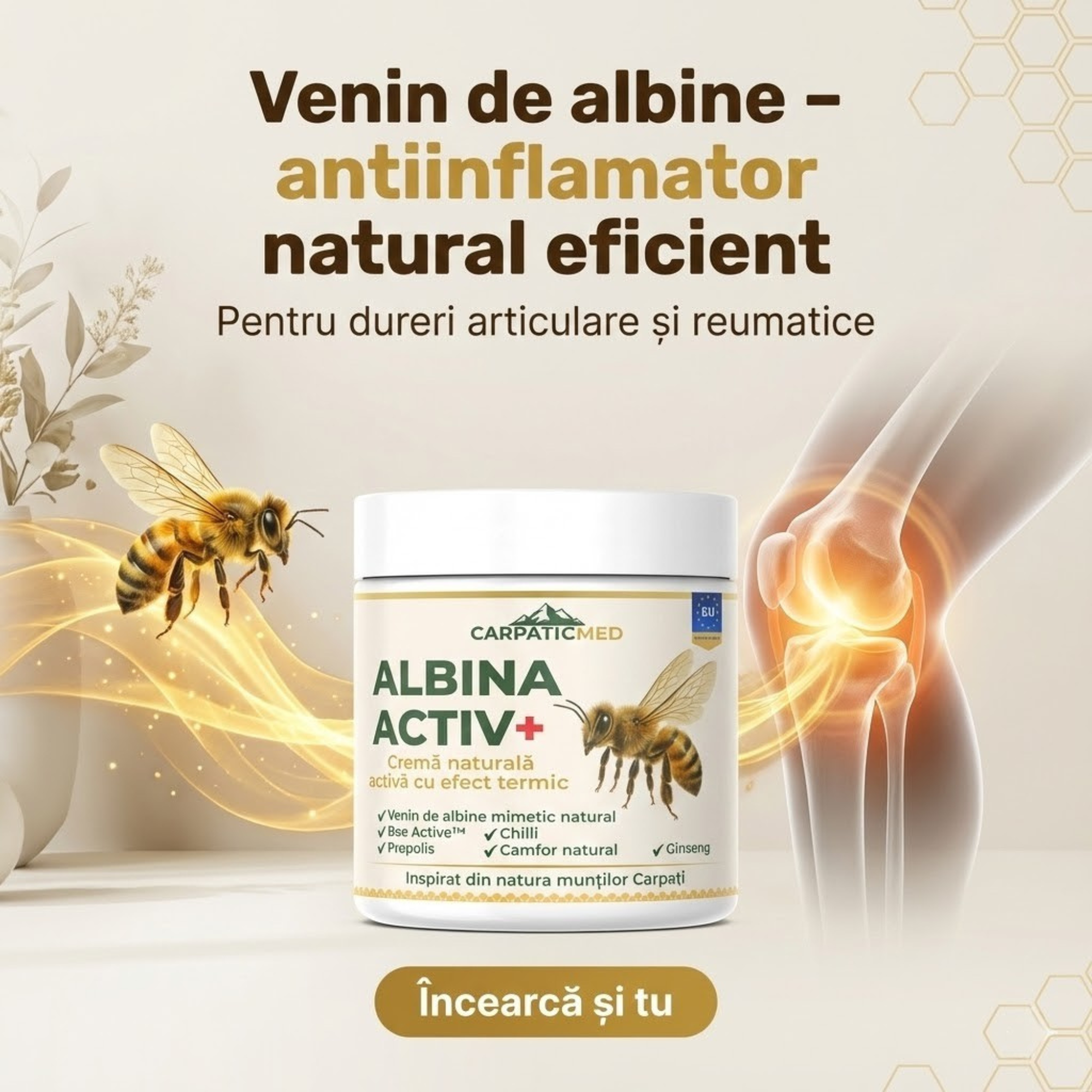 Albina Activ+ Gel